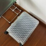 Dior Cabin Suitcase