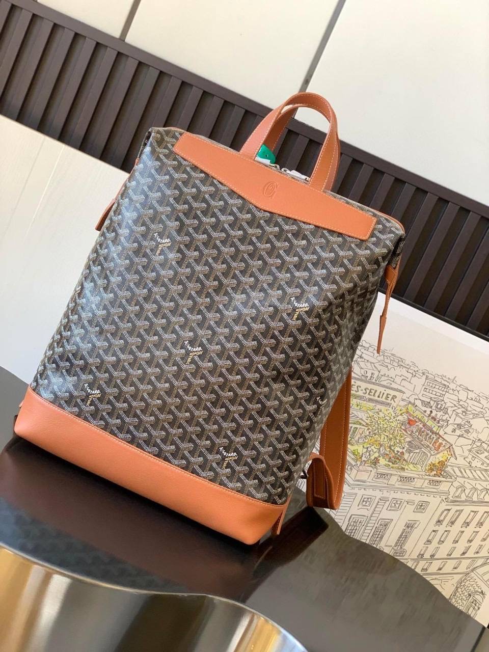 IMG_1043 Goyard Cisalpin Backpack - الصورة 1