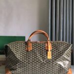 Goyard Boeing 55